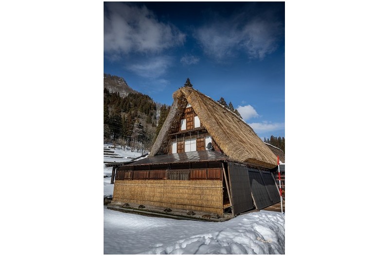 PHOTO BY  | NIKON Z 9  | 2024:02:03 13:42:14  | ISO-100 | 1/500 sec | f 8 | 24 mm | EV=0 | ● WIDTH:1290 pixels  HEIGHT:1800 pixels