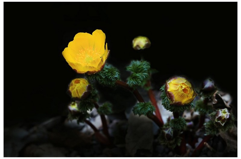   | PHOTO BY : 몰운대/조태열  |