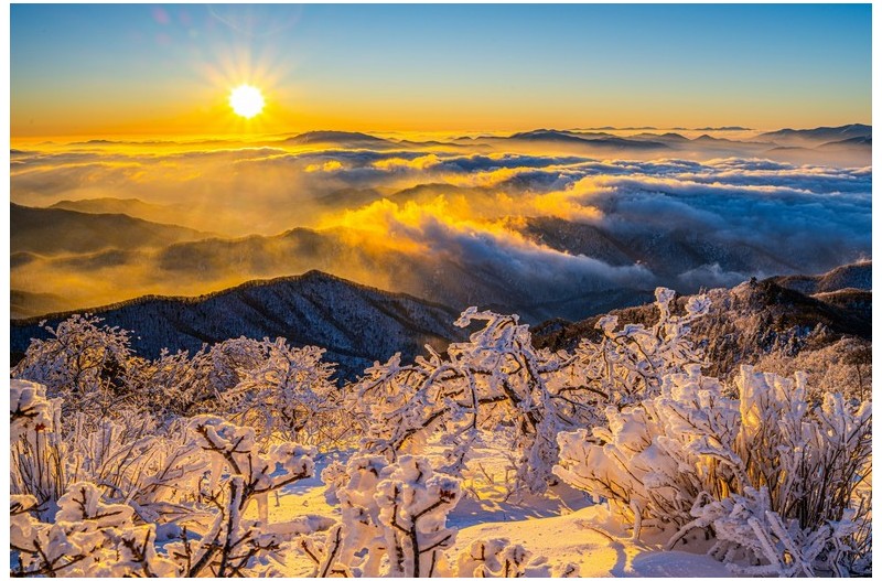 PHOTO BY CHUNG HYUN SUK  | NIKON Z 7_2  | 2024:02:04 07:52:58  | ISO-100 | 1/40 sec | f 13 | 30 mm | EV=-0.3 | ● WIDTH:2000 pixels  HEIGHT:1333 pixels