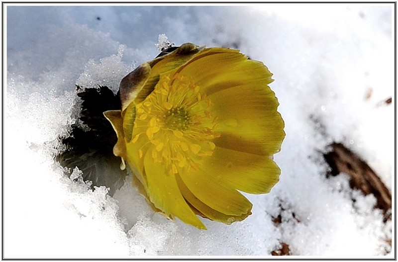 PHOTO BY HAN HAEHWA                            | NIKON D3  | 2024:02:11 14:05:07  | ISO-200 | 1/250 sec | f 8 | 50 mm | EV=1 | ● WIDTH:2784 pixels  HEIGHT:1848 pixels