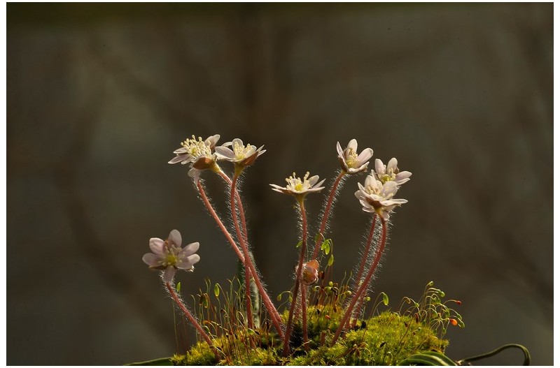 PHOTO BY WO2YA LAB  | Canon EOS-1D X Mark II  | 2024:02:07 16:52:48  | ISO-3200 | 1/2000 sec | f 18 | 360 mm | EV=0 | ● WIDTH:1800 pixels  HEIGHT:1200 pixels
