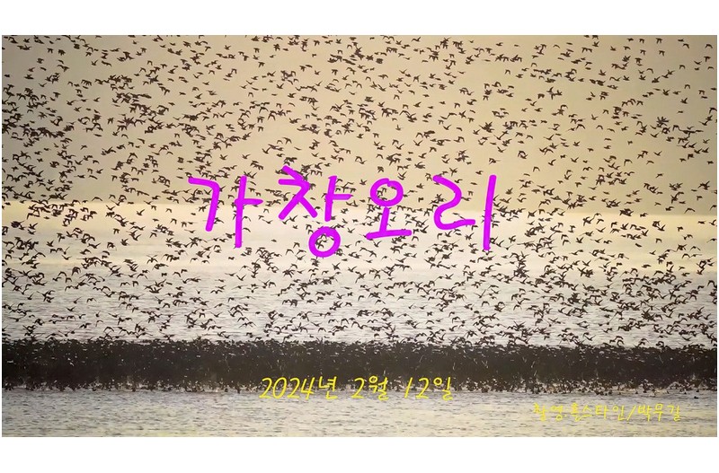   | PHOTO BY : 홀스타인/박무길  |