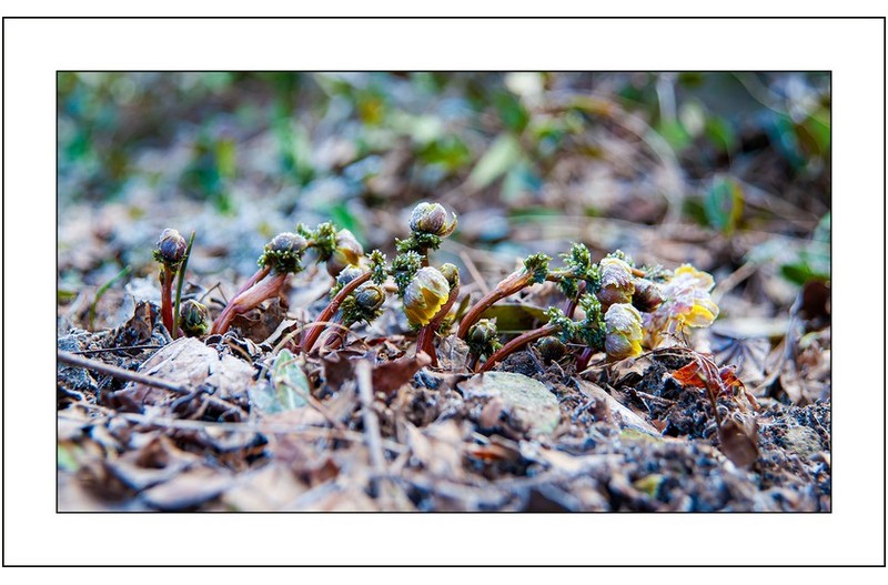   | PHOTO BY : 삿갓/정봉식  |
