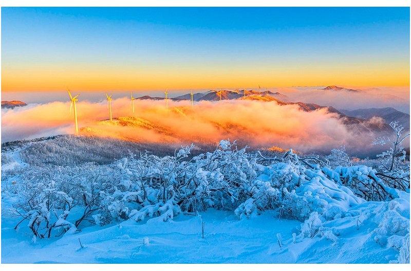 PHOTO BY Hong Mi Ran  | NIKON D850  | 2024:01:27 07:47:25  | ISO-200 | 1/200 sec | f 13 | 24 mm | EV=0 | ● WIDTH:1366 pixels  HEIGHT:859 pixels