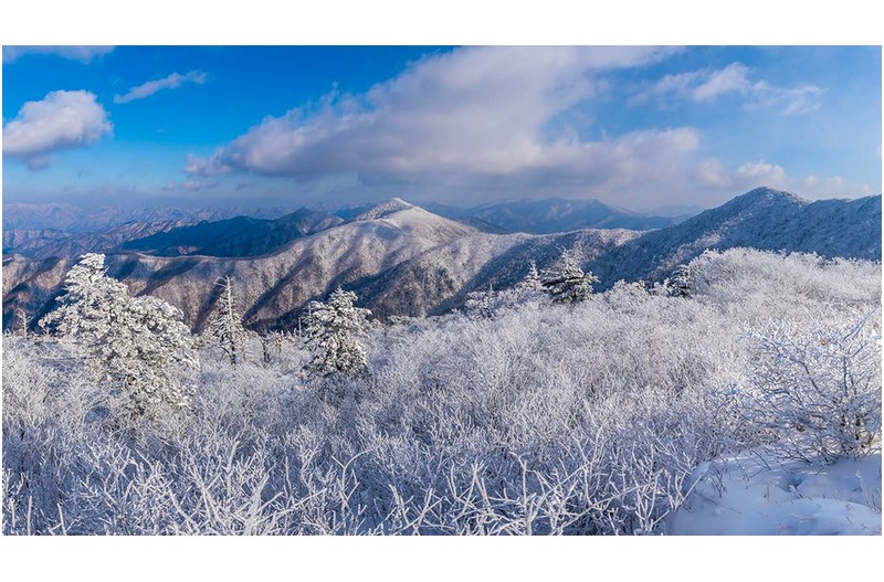 PHOTO BY Hong Mi Ran  | NIKON D850  | 2024:01:07 10:37:12  | ISO-100 | 1/400 sec | f 13 | 24 mm | EV=0.3 | ● WIDTH:1366 pixels  HEIGHT:761 pixels