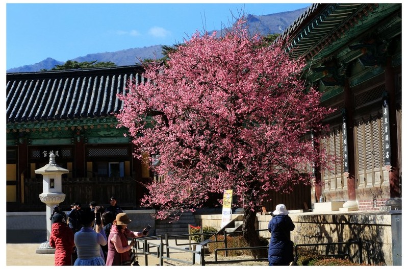   | PHOTO BY : 몰운대/조태열  |
