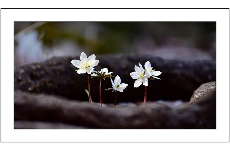   | PHOTO BY : 삿갓/정봉식  |