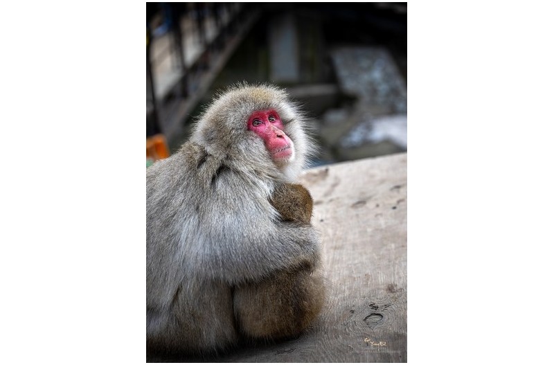 PHOTO BY  | NIKON Z 9  | 2024:02:04 15:23:07  | ISO-100 | 1/200 sec | f 4 | 73 mm | EV=0 | ● WIDTH:1301 pixels  HEIGHT:1800 pixels