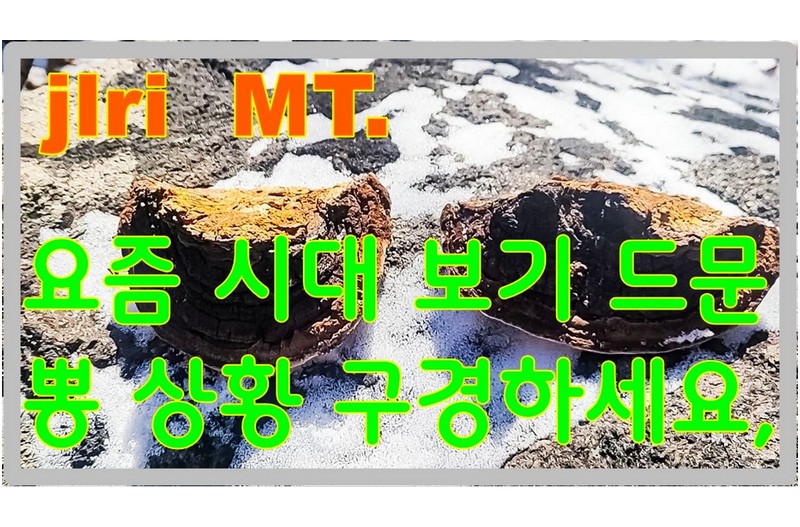   | PHOTO BY : 지리산도사/김종관  |