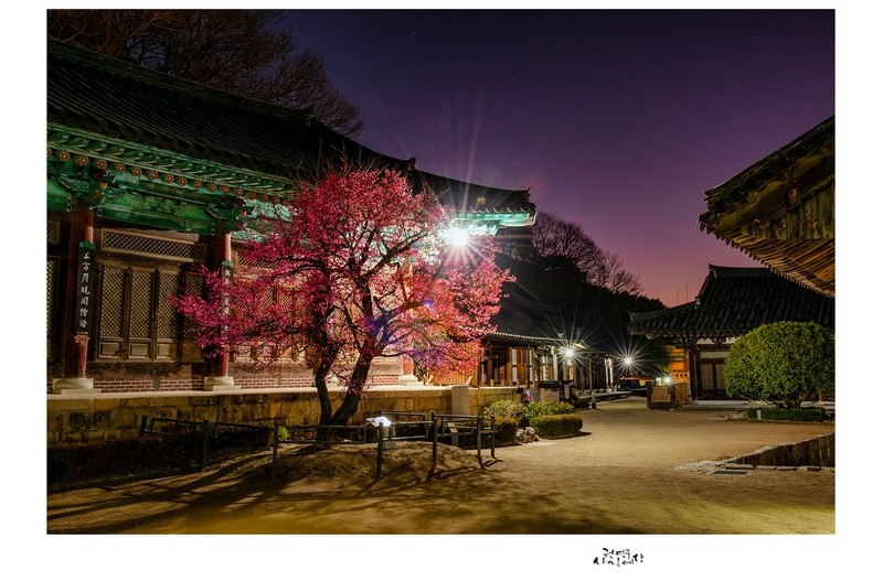 PHOTO BY  | NIKON D800  | 2024:02:17 06:21:54  | ISO-100 | 30/1 sec | f 13 | 35 mm | EV=-0.7 | ● WIDTH:1326 pixels  HEIGHT:948 pixels