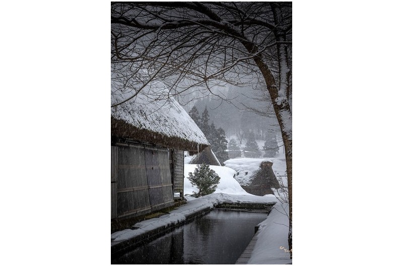 PHOTO BY  | NIKON Z 9  | 2024:02:05 12:56:04  | ISO-100 | 1/100 sec | f 11 | 68 mm | EV=0 | ● WIDTH:1245 pixels  HEIGHT:1800 pixels