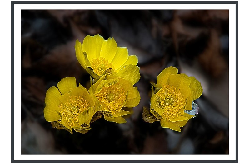 PHOTO BY  | ILCE-6500  | 2024:02:18 11:08:40  | ISO-400 | 1/60 sec | f 7.1 | 87.8 mm | EV=0 | ● WIDTH:1300 pixels  HEIGHT:932 pixels