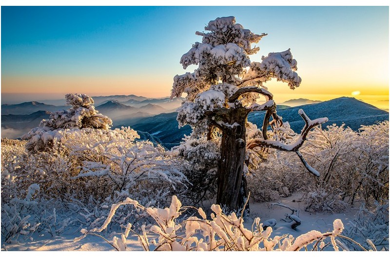 PHOTO BY MINKYUKIM  | Canon EOS 5D Mark III  | 2024:02:08 07:19:19  | ISO-200 | 1/50 sec | f 14 | 24 mm | EV=0 | ● WIDTH:1600 pixels  HEIGHT:1010 pixels