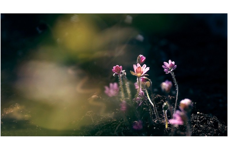   | PHOTO BY : 南松  |