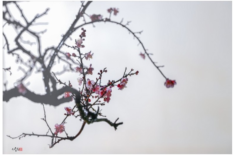 PHOTO BY  | NIKON Z 8  | 2024:02:19 06:30:54  | ISO-80 | 2/1 sec | f 6.3 | 540 mm | EV=0.3 | ● WIDTH:1600 pixels  HEIGHT:1067 pixels