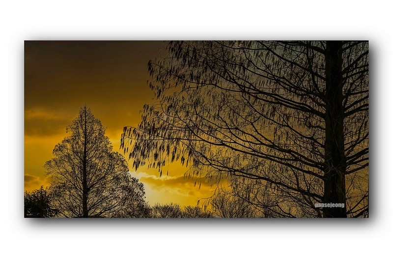 PHOTO BY jps  | Canon EOS R6  | 2024:02:15 13:48:42  | ISO-100 | 1/1250 sec | f 7.1 | 105 mm | EV=0 | ● WIDTH:1600 pixels  HEIGHT:900 pixels