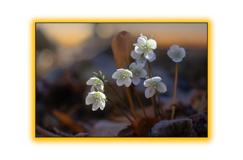   | PHOTO BY : 오로라/조한호  |