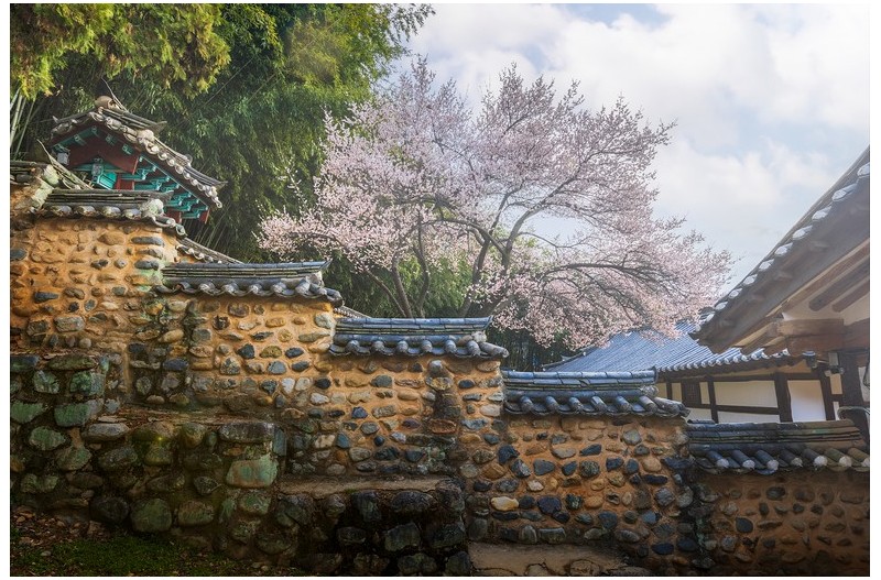   | PHOTO BY : 조현래  |