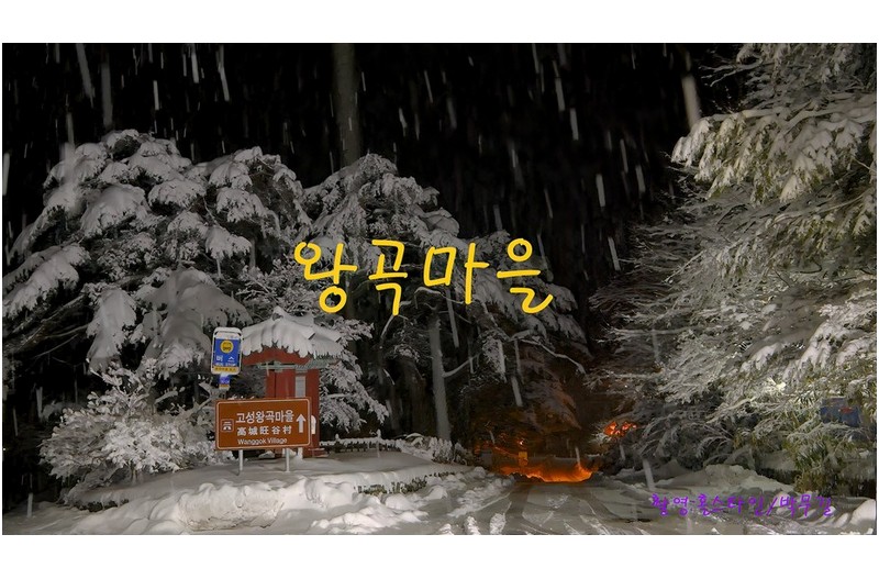   | PHOTO BY : 홀스타인/박무길  |