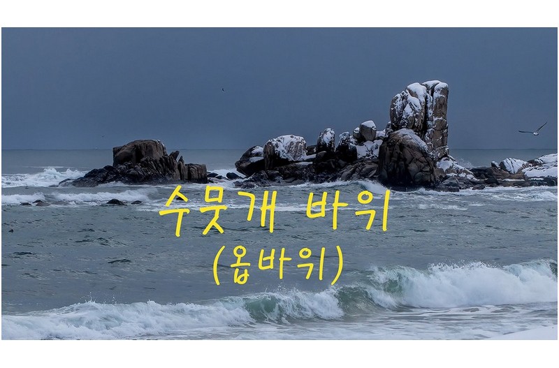   | PHOTO BY : 홀스타인/박무길  |