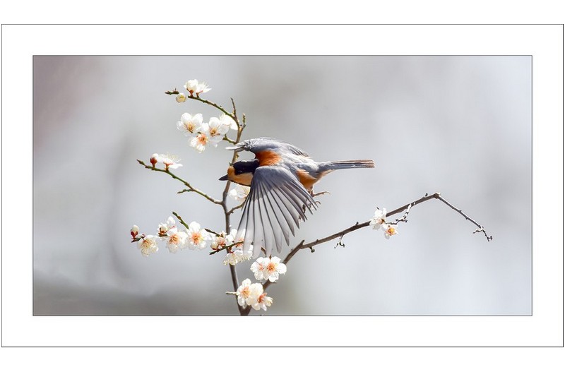   | PHOTO BY : 삿갓/정봉식  |