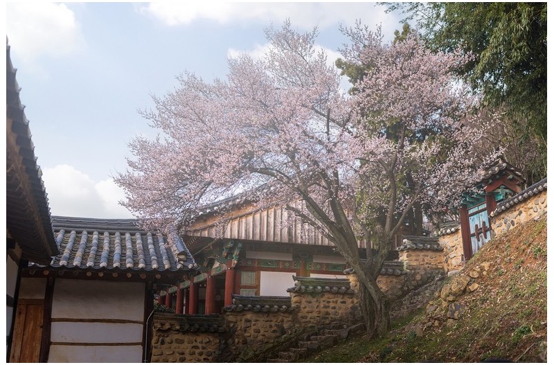   | PHOTO BY : 조현래  |