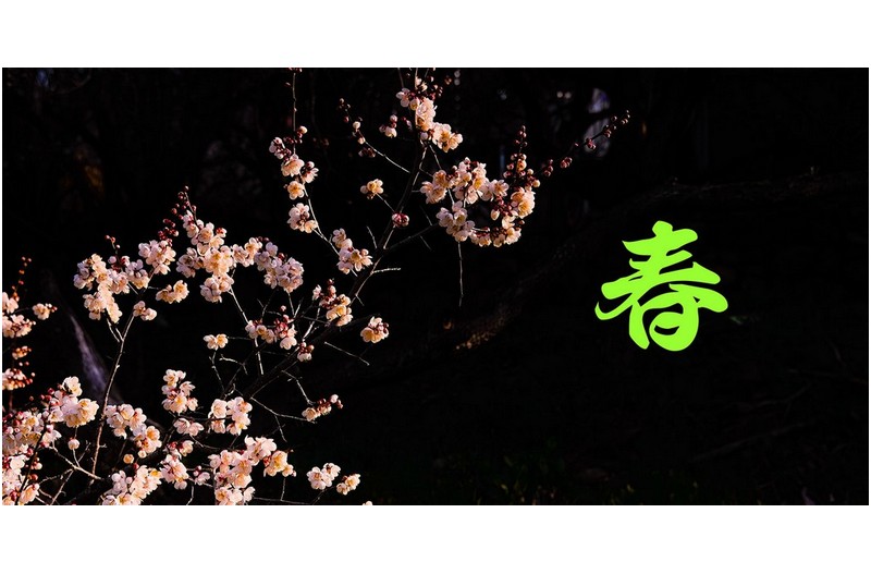 PHOTO BY  | NIKON D850  | 2024:03:01 07:40:02  | ISO-250 | 1/320 sec | f 8 | 31 mm | EV=-0.3 | ● WIDTH:1500 pixels  HEIGHT:757 pixels