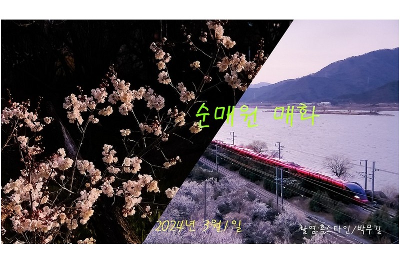   | PHOTO BY : 홀스타인/박무길  |