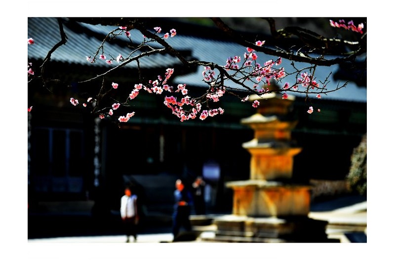   | PHOTO BY : 함월  |