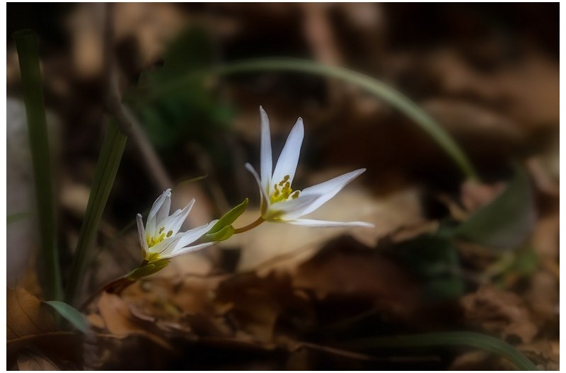   | PHOTO BY : 발전 박용식  |