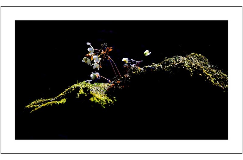   | PHOTO BY : 삿갓/정봉식  |