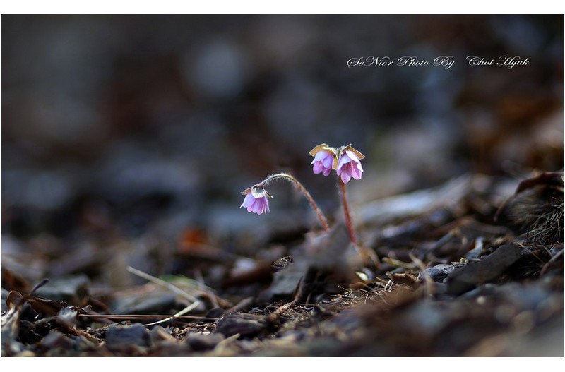 PHOTO BY  | Canon EOS R6  | 2024:03:09 10:48:52  | ISO-100 | 1/320 sec | f 1.8 | 85 mm | EV=0 | ● WIDTH:1800 pixels  HEIGHT:1100 pixels