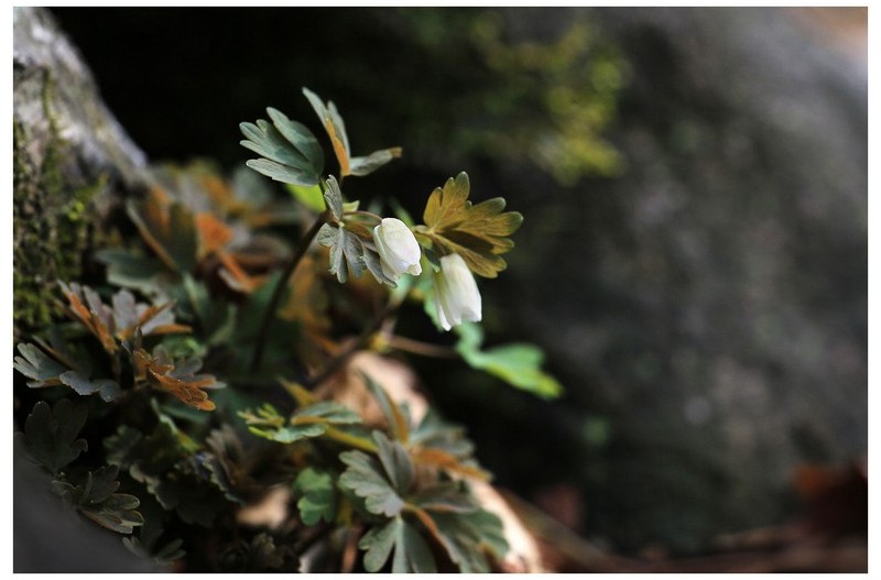   | PHOTO BY : 몰운대/조태열  |