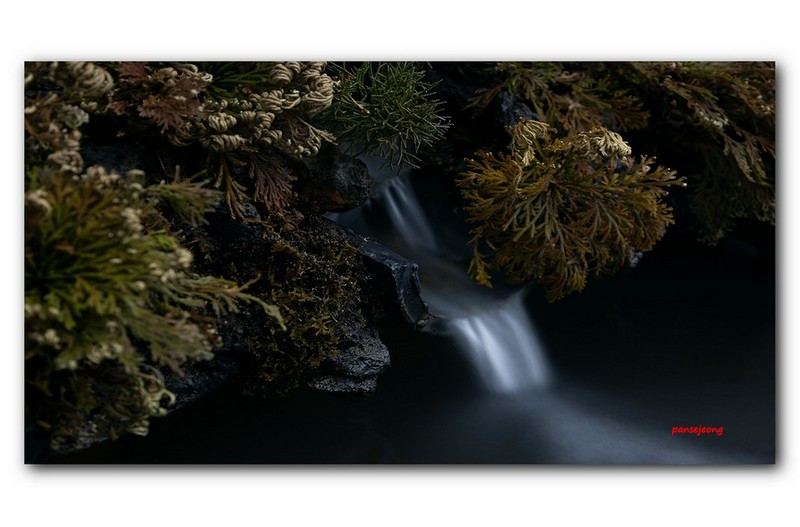 PHOTO BY jps  | Canon EOS R6  | 2024:03:12 14:31:49  | ISO-100 | 15/1 sec | f 7.1 | 70 mm | EV=0 | ● WIDTH:1600 pixels  HEIGHT:901 pixels