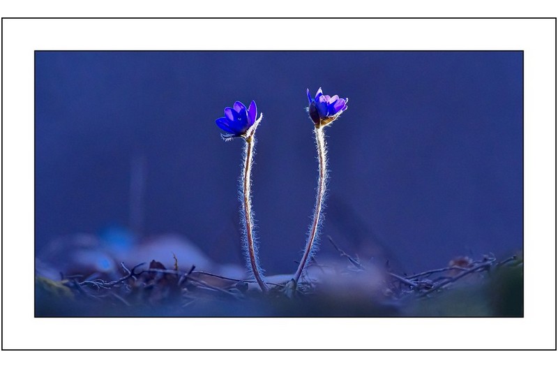   | PHOTO BY : 삿갓/정봉식  |
