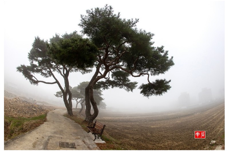 PHOTO BY changickheun  | Canon EOS-1D X Mark III  | 2024:03:13 08:38:03  | ISO-200 | 1/200 sec | f 8 | 15 mm | EV=0 | ● WIDTH:1800 pixels  HEIGHT:1216 pixels