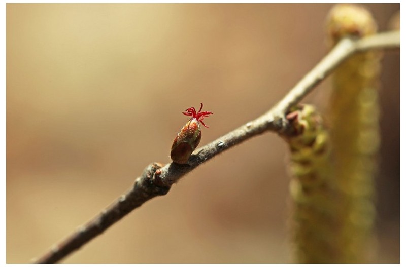   | PHOTO BY : 몰운대/조태열  |