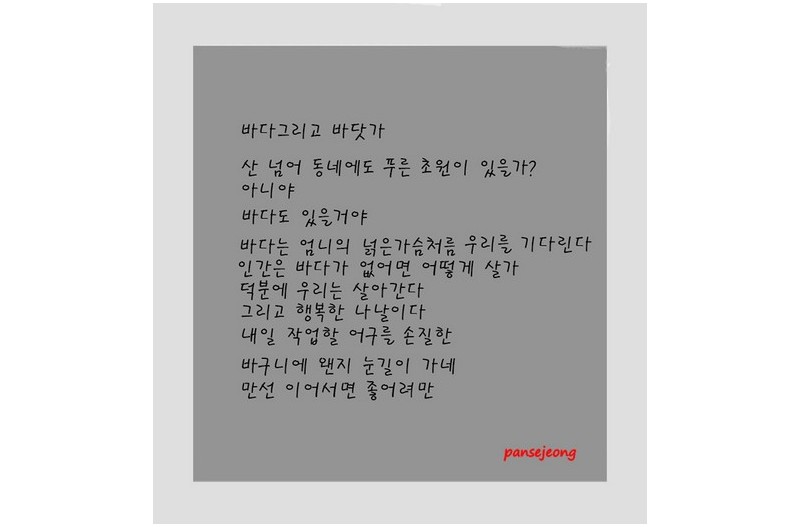   | PHOTO BY : 초원/丁判世  |
