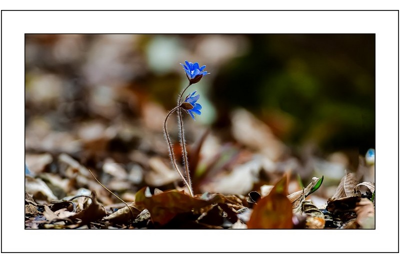   | PHOTO BY : 삿갓/정봉식  |