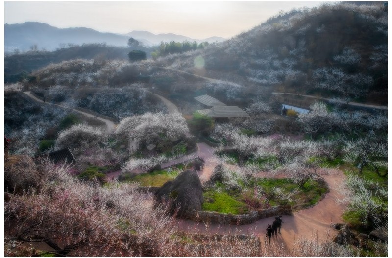   | PHOTO BY : 발전 박용식  |