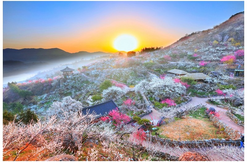 PHOTO BY  | Canon EOS 5D Mark IV  | 2022:03:16 07:02:26  | ISO-100 | 1/125 sec | f 11 | 16 mm | EV=0 | ● WIDTH:1400 pixels  HEIGHT:933 pixels