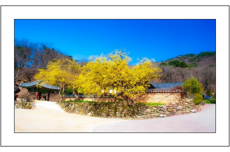   | PHOTO BY : 삿갓/정봉식  |