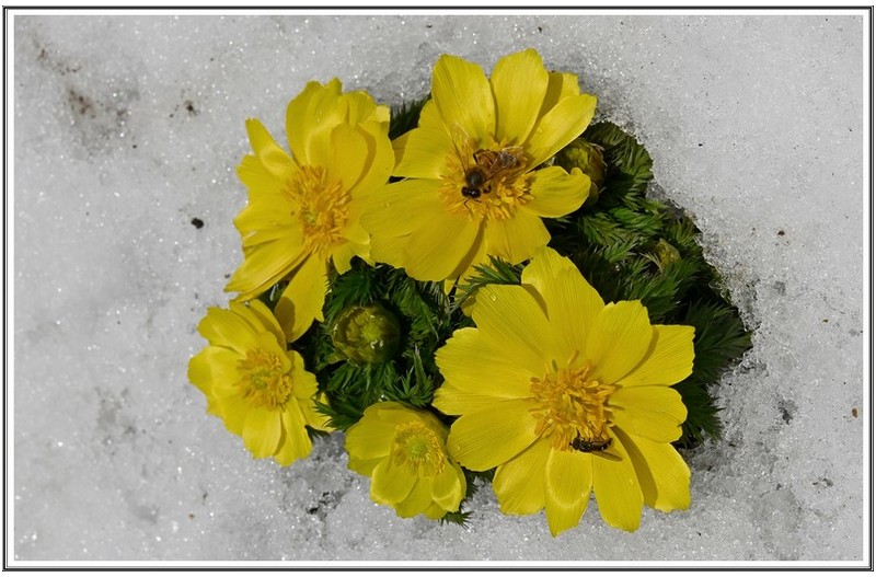 PHOTO BY                                       | NIKON Z 7_2  | 2024:03:16 00:00:26  | ISO-200 | 1/800 sec | f 14 | 60 mm | EV=0 | ● WIDTH:8256 pixels  HEIGHT:5504 pixels