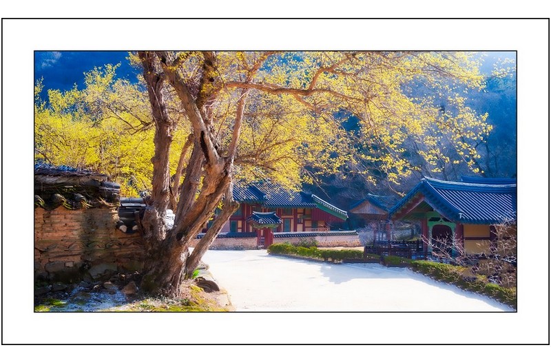   | PHOTO BY : 삿갓/정봉식  |
