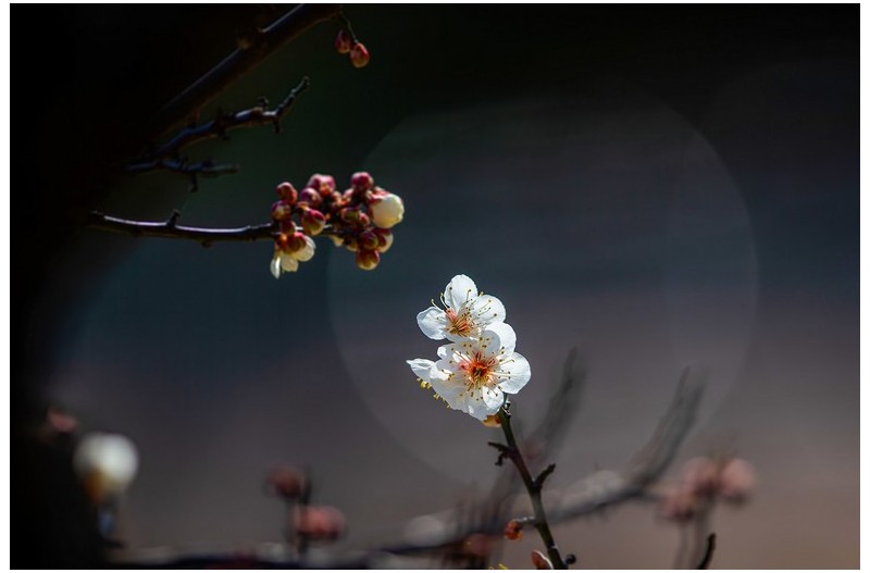  | PHOTO BY : 발전 박용식  |
