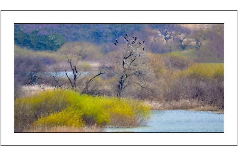   | PHOTO BY : 삿갓/정봉식  |