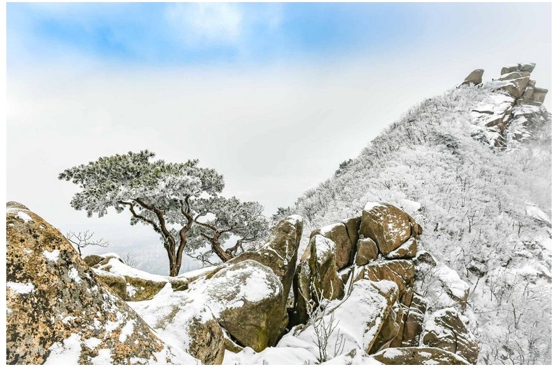 PHOTO BY Jae Ik Lee  | NIKON D850  | 2024:02:07 09:43:34  | ISO-200 | 1/100 sec | f 5.6 | 24 mm | EV=0.7 | ● WIDTH:  HEIGHT: