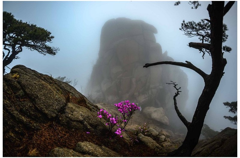   | PHOTO BY : 행월/이재익  |
