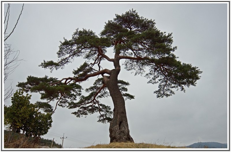 PHOTO BY  | SLT-A77V  | 2024:03:23 11:55:38  | ISO-320 | 1/2500 sec | f 5.6 | 16 mm | EV=0.3 | ● WIDTH:6000 pixels  HEIGHT:4000 pixels