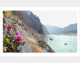 PHOTO BY JUN_MYOUNG_SUK  | NIKON D850  | 2024:03:23 10:24:18  | ISO-200 | 1/200 sec | f 8 | 17 mm | EV=-1.3 | ● WIDTH:1200 pixels  HEIGHT:766 pixels